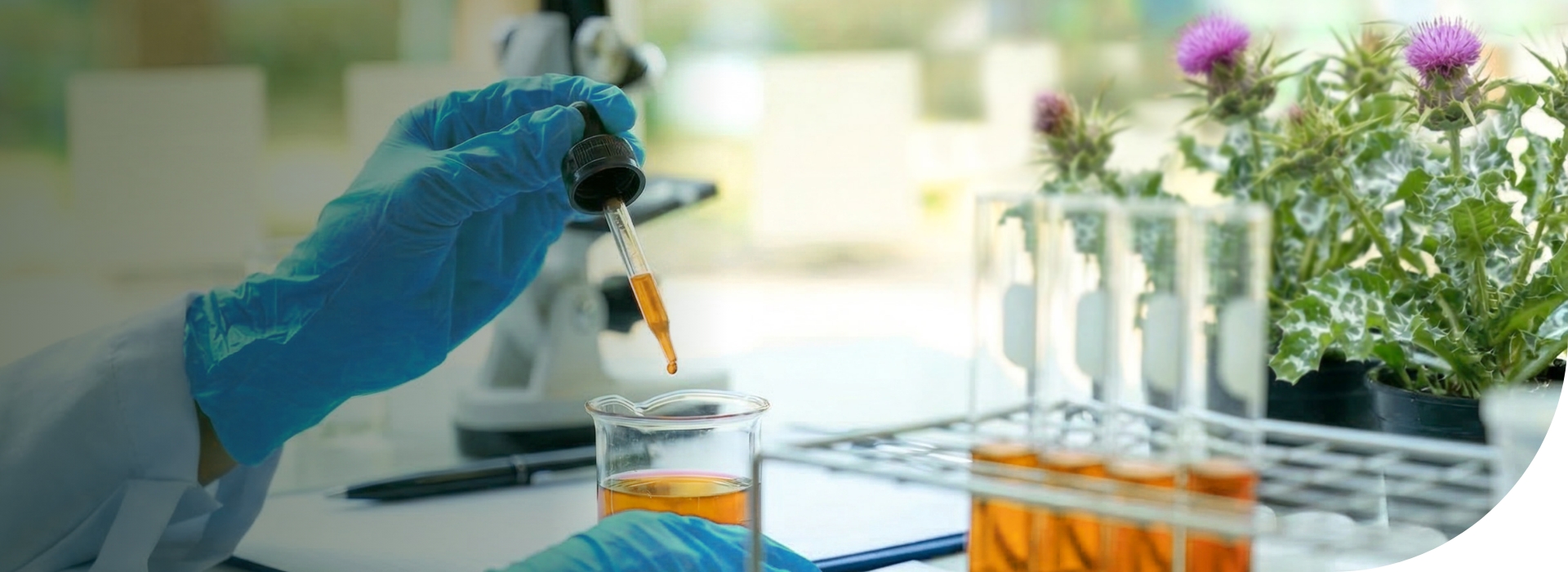 Laborumgebung mit Pipette und Reagenzgläsern zur Prüfung von Inhaltsstoffen