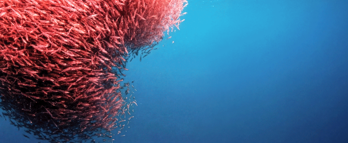Feine Partikelstruktur in Blau- und Orangetönen als visuelle Darstellung von Cholin