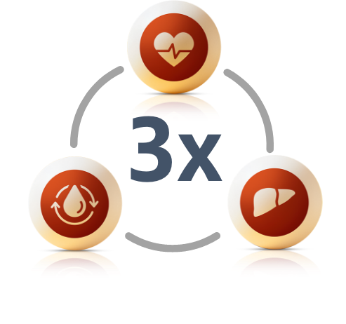Symbolische Darstellung des Zusammenspiels von Herz, Leber und Fettstoffwechsel als 3-facher Kreislauf