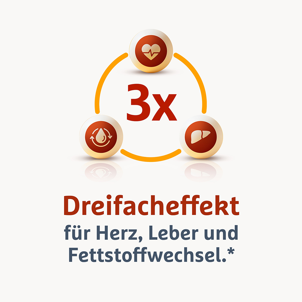 Grafische Darstellung des Dreifacheffekts für Herz, Leber und Fettstoffwechsel