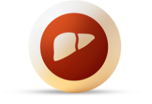 Symbol für die Unterstützung der Leberfunktion